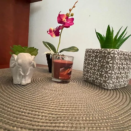 Bar & Guests Ela * Bliznaci