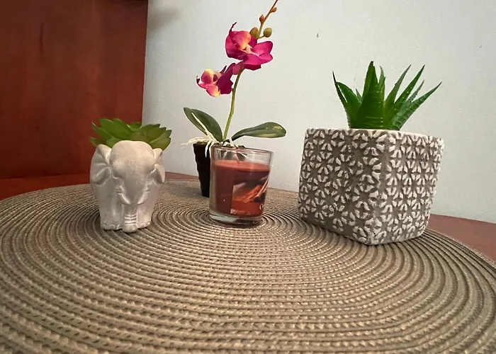 Bar & Guests Ela * Bliznatsi